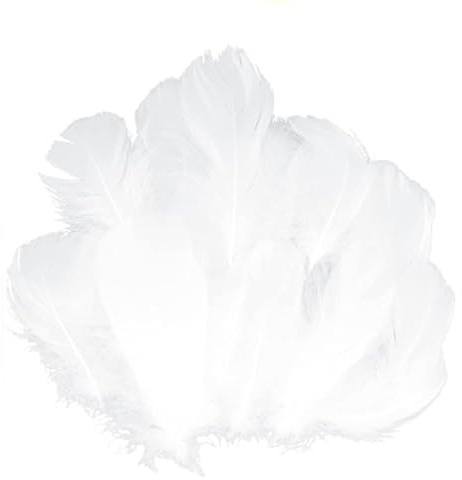 GoldRock 300 Stk Weiße Federn zum Basteln,Federn Weiss Flauschig 8-13cm,Federn Weiss Deko,Natürliche Feder,Engelsflügel zum Basteln,Federn zum Basteln Weiß für Christmas,Traumfänger,Kopfschmucksfedern