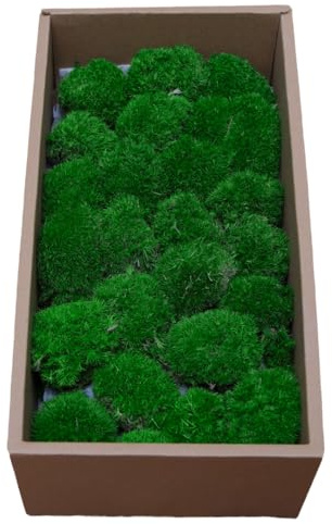 ZenceWell Real Preserved Moss for DIY Crafts – Evergreen & No Water Needed – 0.14m² Light Green Natural Dried Moss for Terrariums, Wall Art, Floral Arrangements & Home Décor (Deep Emerald)