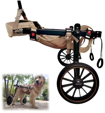 Hunderollstuhl,Rollstuhl FüR Hinterbeine,Hunde-Rollstuhl Mit 2 RäDern,Gehhilfe Gehbehinderung,Gehhilfe Verletzte/GeläHmte Vorderbeine,Trolley Kleine/Mittlere/GroßE Haustiere(XXL,Blue)