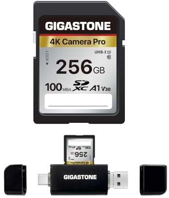 GIGASTONE 256GB SDXC Speicherkarte mit USB Typ C Kartenleser, 4K Kamera Pro, bis zu 100 MB/S, Digitalkameras Canon Sony Nikon Olympus, A1 UHS-I U3 V30 Klasse 10, 4K UHD Videoaufnahmen