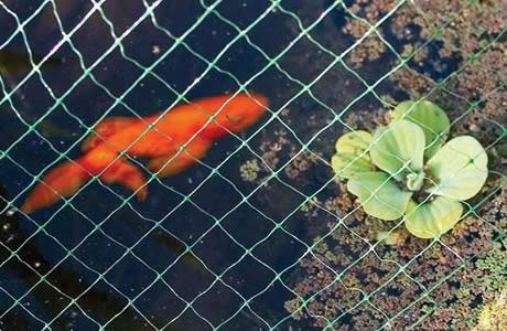 Garden mile 4m x 10m Garden Netting Mesh Heavy Duty Weatherproof 15mm Pond Netting For Plants And Bird Deterrents Garden Net Mesh Protection Flexible Cover Outdoor Greenhouse Bird Netting Accessories