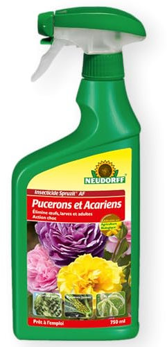 Neudorff Insecticide Spruzit AF Pucerons et Acariens – Combat les pucerons et les cochenilles sur les fleurs et les plantes vertes, prêt à l'emploi, 750 ml