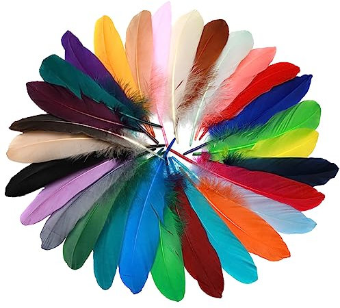 JIHUOO 100 Stück mehrfarbige lose Gänsefedern, 15,2–20,3 cm, natürliche Federn, große Bastelfedern für handgefertigte Hochzeitsdekorationen
