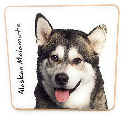 Alaskan Malamute Hund Haustier Untersetzer für Getränke Kaffee Tee 9,5 x 9,5 cm Geburtstag Geschenk Weihnachten Nikolausstiefel Hund Papa Mama Geschenk Hundeliebhaber