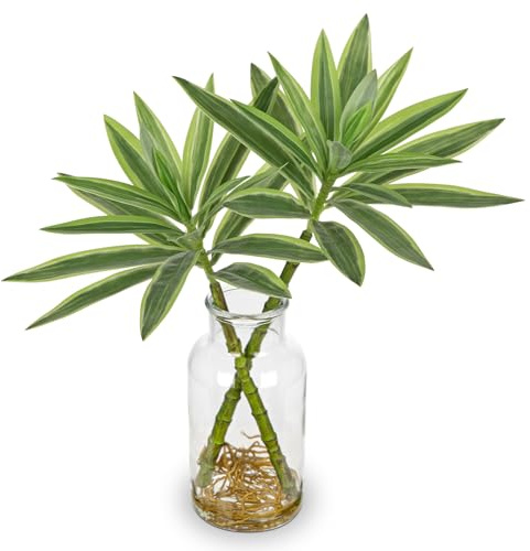 Oairse Artificial Plant in Glass Vase with Faux Water 36cm Decorative Fake Plants Realistic Faux Greenery Artificial Dracaena Reflexa Indoor Plant for Home Office Kitchen Bathroom Table Shelf Decor