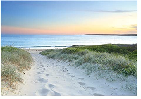 Papel Pintado Playa Mar Efecto 3D Dunas Mar del Norte - Incluye Pegamento - Fotomurales Pared Tejido No Tejido Decorativos Murales Fotográfico XXL Moderno Decoración de Paredes (152x104 cm)