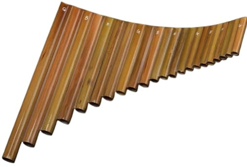 Professionelle Panflöte Chinesische Traditionelle Holzbläser-Panflöte Chinesische Pfannen Xiao-Musikinstrument Professionell 22 Pfeifen (Color : G)