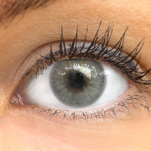 GLAMLENS lentilles de couleur grigie naturelles colorées très haute opacité (Limone Ash Gray) + étuis à lentilles de contact 1 paire (2 pièces) 90 Jours sans correction 0,00 Dioptries