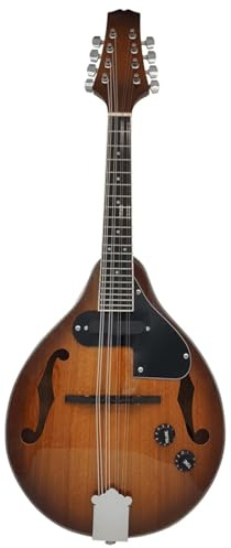 Mandolin Instrument Kit National Musical Instrument Mandolin Guitar Eight-string Mandolin Electric Mandolin(D)
