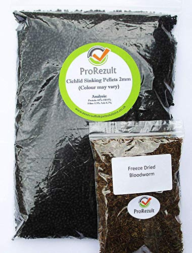 Premium Catfish Pellets PLUS BONUS DRIED BLOODWORM Tropical Fish Aquarium Food (100g Pellets + 5g Bloodworm)