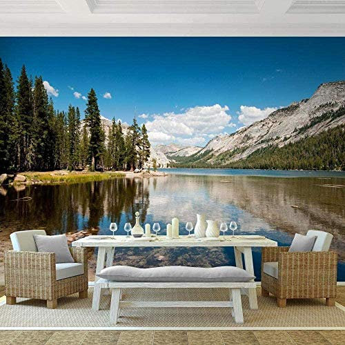XiuTaiLtd Mural Forest Summer Nature Papel Tapiz De Seda, Fotomurales, Papel Tapiz Con Motivos-300x210 CM