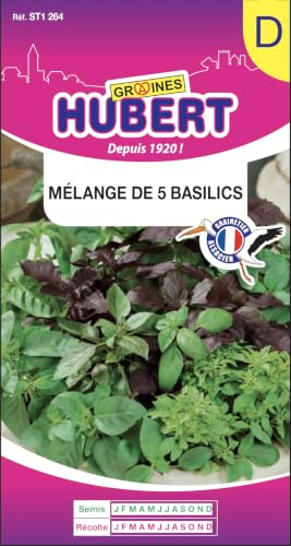 Graines de Mélange de 5 Basilics - 0,5 grammes | Semences Reproductibles NON Traitées