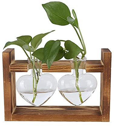 Tomotato Stazione di Propagazione, Terrario per Piante con Supporto in Legno, Vaso da Tavolo Trasparente a Forma di Cuore per Idroponiche(B)