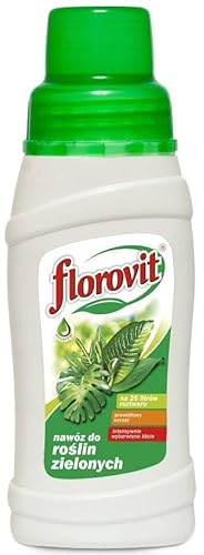 Grünpflanzen Dünger Spezialdünger Yucca Ficus Drachenbaum Efeu Pflanzen 500ml