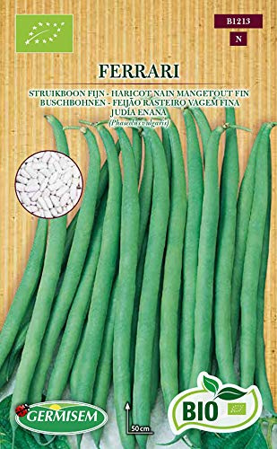 Germisem Orgánica Ferrari Semillas de Frijol Francés 80 g, ECBIO1213