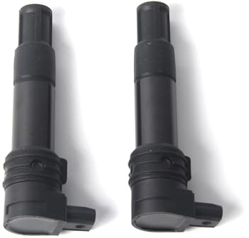 Motorrad Zündspulen-Set (2er Pack) für BMW R1200GS 2004-2007, R1200GS 2008-2009, R1200R 2006-2014, R1200RT 2005-2009, 12-13-7-707-549 Moto Ersatz-Zubehörteile