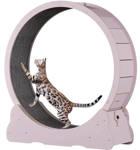 Kattträningshjul, kattlöpband, naturligt massivt trä katt balanscykel, heltäckningsmatta löpmaskin för katt viktminskning och fitness, hållbar och säker