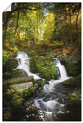 ARTLAND Wanddeko Poster & Kunstdrucke Wandposter 40x60 cm Hochformat Natur Wald Bäume Farn Moos Bach Wasserfall Harz U4PG