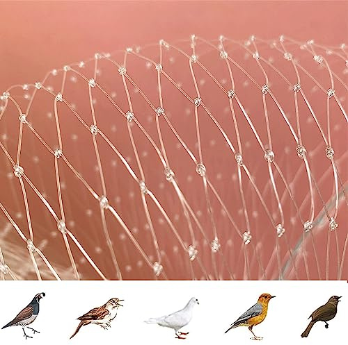 Lcoay Filet Anti Oiseaux en Maille Filet de Protection Jardin(5m x 10m) | Filet Anti Pigeon Transparent, Filet Anti-Oiseaux pour Balcon, Bassin, Fruits, Légumes et Plantes, Oiseaux Contrôle