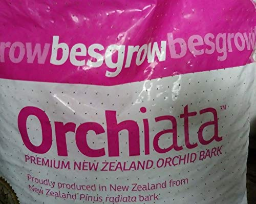 Semi di germinazione: corteccia di orchidea Orchiata Nuova Zelanda - Super 3/4 - 1 - 1 gallone