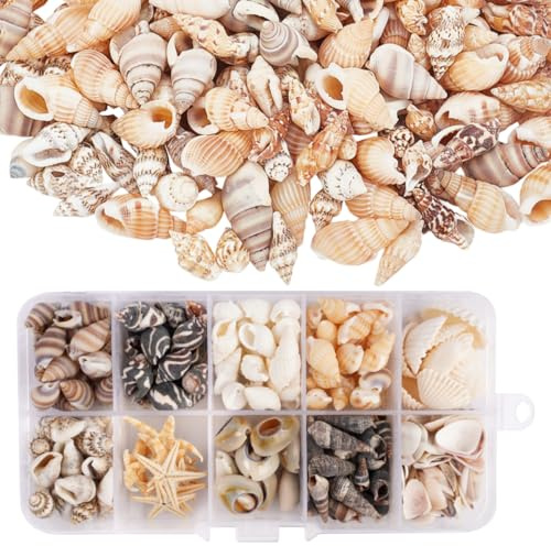 220 Conchas Marinas Naturales (10 Tipos) 90g Sin Agujeros Con Caja de Almacenamiento Incluida Estrellas de Mar Para Manualidades, Decoración de Bodas, Fiestas de Playa y Relleno de Floreros (Mezcla)