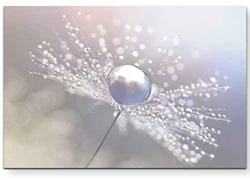 Leinwandbilder | Bilder Leinwand 120x80cm Pusteblume mit Wassertropfen