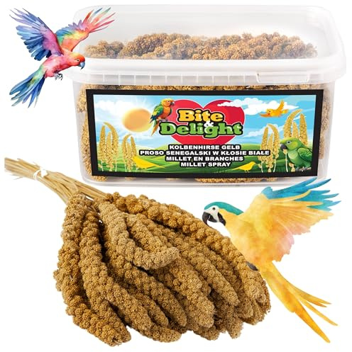 Bite & Delight 0,5kg Mijo en Espiga Natural para Aves - Alimento para Loros y Periquitos - Comida Natural Todo el Año para Pájaros Ornamentales