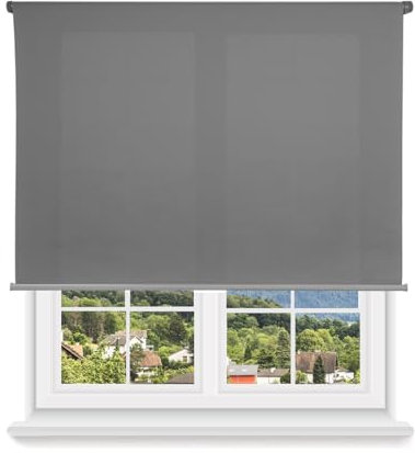 HOME MERCURY - Estor Enrollable translúcido Liso (120x180 cm, Gris)