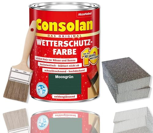 Consolan Lot de pinceaux de protection contre les intempéries 0,75 l