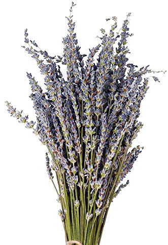 Pomurom Bouquet Fiori Secchi di Lavanda 40cm Lunghi, Mazzo Essiccato Naturale per Decorazione Domestica, Matrimonio o Qualsiasi Occasione
