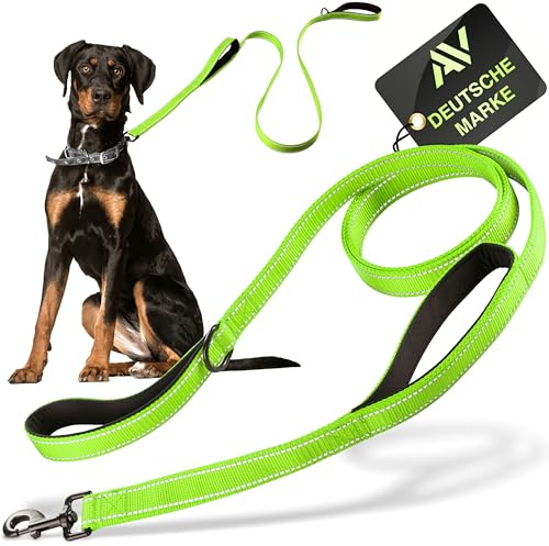 AVANA Hundeleine mit integriertem Kurzführer reflektierende Leine | 2 handschonende gepolsterte Handschlaufen | 1,5 Meter Führleine für große und mittelgroße Hunde - Neongrün