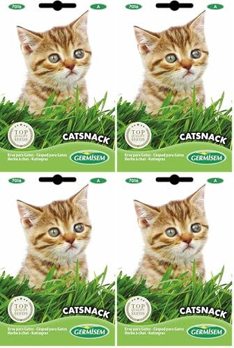 Germisem Catsnack Semillas de Hierba para Gatos 10 g, EC7016 (Paquete de 4)