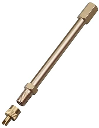 ingoodtle Rallonge de Valve en Laiton 10cm avec Valve Anti-Retour et Démonte-obus Intégré,Extension de Valve Universelle pour Pneus de Voiture, Moto, Vélo, Trottinette Électrique