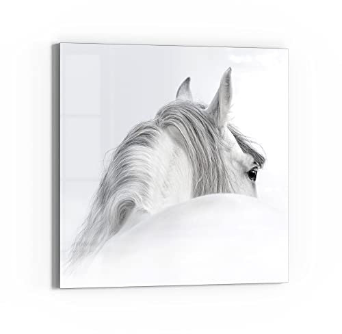 DEQORI Glas-Magnettafel | 50x50 cm groß | Motiv Andalusisches Pferd | Memo-Board aus Glas | Magnetboard inkl. Magnete, Stift & Tuch für Küche & Büro | Tafel magnetisch & beschreibbar
