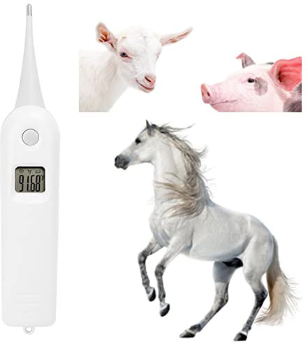 Tierisches elektronisches Ethermometer, Haustier-Thermometer, digital, Veterinär-elektronisches Thermometer, Tier-Anus-Thermometer für Hunde, Pferde, Katzen, Schweine