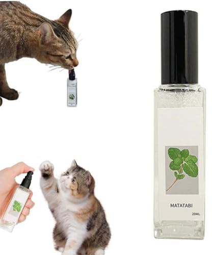 Herbal Cat Joy Spray d'herbe à chat de céleri pour animaux domestiques avec griffoir, spray d'entraînement pour chats d'intérieur avec herbe à chat, céleri pour animaux de compagnie, apaisant et