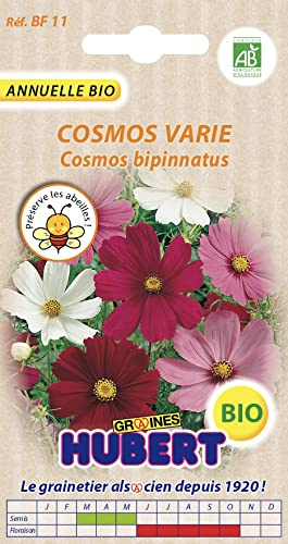 Graines de Cosmos Varié BIO - 2 grammes | Semences biologiques