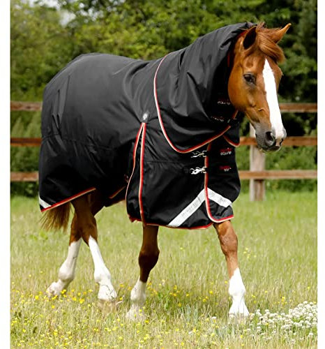 wasserdichte Outdoor-Decke für Pferde mit Halsabdeckung Premier Equine Buster 100 g
