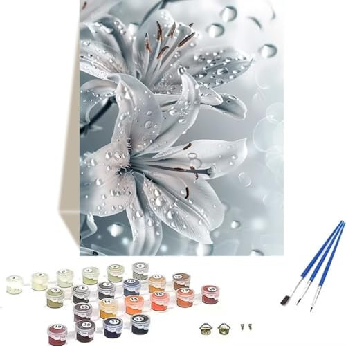 DIY Malen Nach Zahlen Erwachsene, Malen Nach Zahlen Kinder Blume Erwachsene Malen Nach Zahlen Kits auf Leinwand, Lilie Numbers Kunsthandwerk Geschenk für Home Wall Deco 60 x 80 cm (rahmenlos) 2-Q