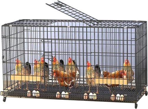 XIAGJAO Hühnerstall für Innen- und Außenbereich, Groß, für 7-10 Hühner, Umweltfreundlich, Schwarz, 130 cm