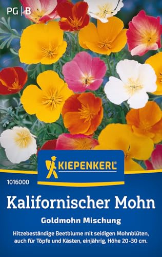 Kiepenkerl Kalifornischer Goldmohnsamen Mischung 1016000, Blumensaat | Blumensamen Mischung für eine hitzebeständige Beetblume, Inhalt für 120 Pflanzen, Höhe 20-30 cm, einjährig