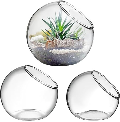 Zerodeko 3pezzi Terrario in Vetro Rotondo per Piante Aeree Contenitore per Piante da Tavolo per Casa e Ufficio Vaso per Terrario in Vetro