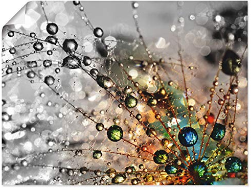 ARTLAND Wanddeko Poster & Kunstdrucke Wandposter 80x60 cm Blumen Pusteblume Botanik Blüten Modern Kunst Sommer Natur T9IN