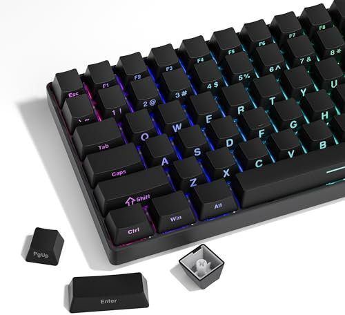LQXQ PBT 136 Tastenkappen Transparente, Keycaps Double Shot ANSI US Layout mit Algengrün Schattierten Tasten, Side Print Tasten, OEM Profil Tastenkappen für Cherry Gateron MX Schalter, Schwarz