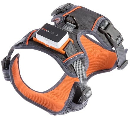 Pawfit 3-Hundegeschirr | Anti-Zug Geschirr für Hunde | komfortable Mesh-Polsterung | Verstellbar | Mit Zwei Leinenringen | Reflektierend | Atmungsaktiv | Für Training und Gassi Gehen | Größe M