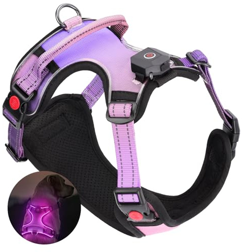 DAISTERN von BSWAY LED Hundegeschirr Größe L mit Griff, Aufladbares Leuchtendes Hundegeschirr, Brustgeschirre Hunde mit 3 Blinkmodi, Reflektierende Streifen für kleine und Mittelgroße Hunde