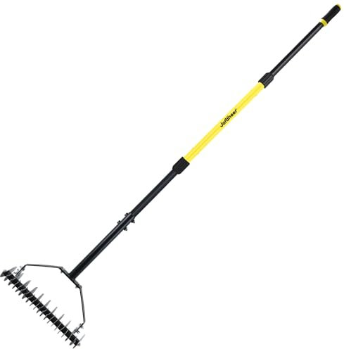 Jardineer Thatch Rake Heavy Duty, Hand Lawn Scarifier Rake for Weeding, Grass Grooming, Dead Grass Cleaning, Long Handle Metal Lawn Rakes with 21 Stainless Steel Tines