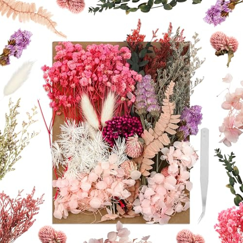 Trockenblumen zum Basteln, Trockenblumen Set, Getrocknete Blumen, Blumen Natürliche Gemischte mit Pinzette für Kunst DIY, Harz, Scrapbooking und Handwerk Karten