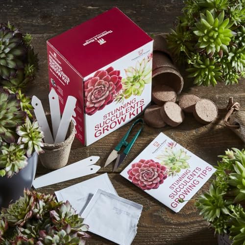 Succulent Seed Grow Kit Gardeners Gift Grow Your Own Succulent Plants, Great Gardening Present, Sempervivum Mixed Seeds with Growing Equipment by Thompson and Morgan