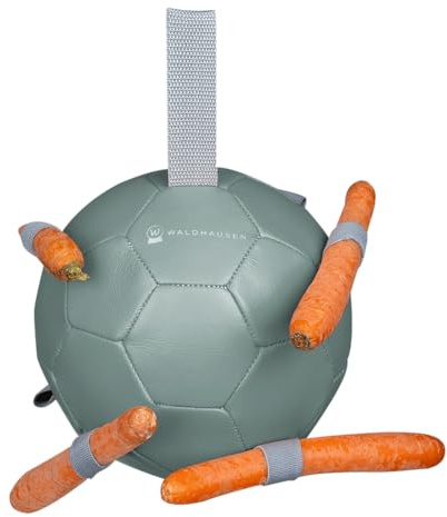 Waldhausen - Carrot Ball